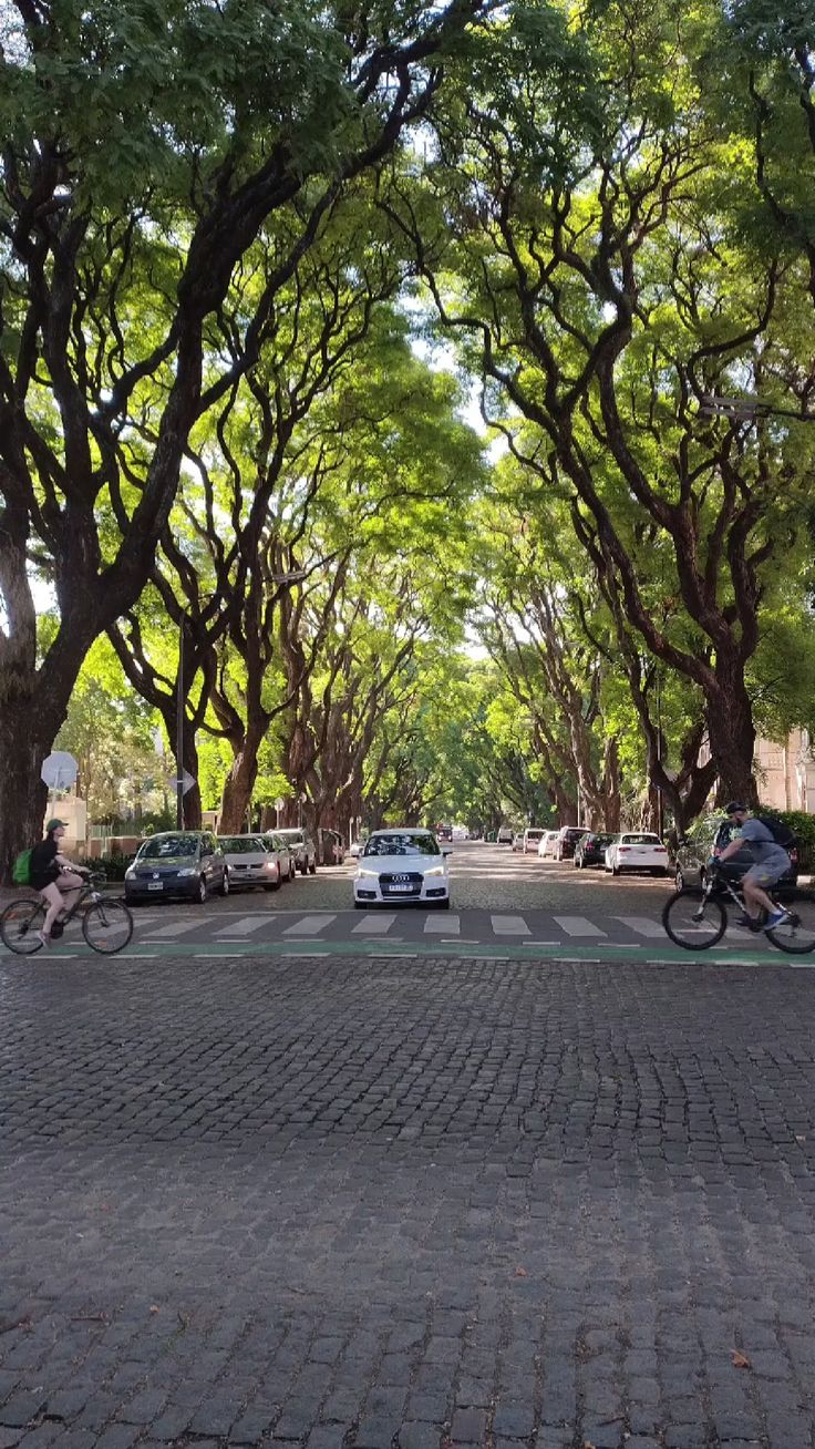 Tree-lined streets of Belgrano